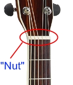 66 nut pic